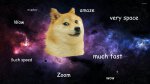 doge dog very space